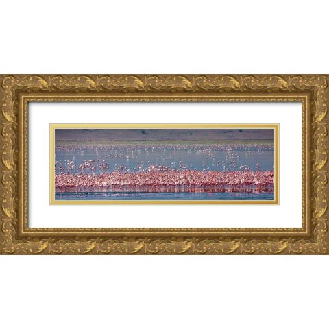 Lesser flamingos rest and feed in Lake Magadi inside Ngorongoro Crater-Tanzania Gold Ornate Wood Framed Art Print with Double Matting by Richardson, Larry