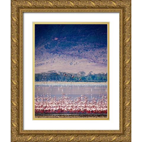 Lesser flamingos rest and feed in Lake Magadi inside Ngorongoro Crater-Tanzania Gold Ornate Wood Framed Art Print with Double Matting by Richardson, Larry