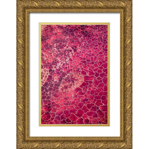 Africa-Tanzania-Aerial view of patterns of red algae and salt formations in shallow salt waters Gold Ornate Wood Framed Art Print with Double Matting by Souders, Paul