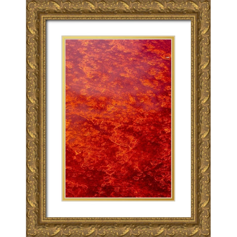 Africa-Tanzania-Aerial view of patterns of red algae and salt formations in shallow salt waters Gold Ornate Wood Framed Art Print with Double Matting by Souders, Paul
