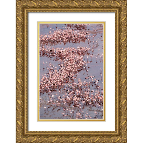 Africa-Tanzania-Aerial view of vast flock of Lesser Flamingos nesting in shallow salt waters Gold Ornate Wood Framed Art Print with Double Matting by Souders, Paul
