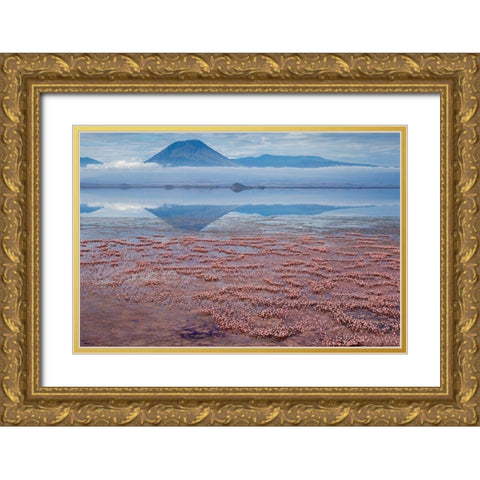 Africa-Tanzania-Aerial view of Ol Doinyo Lengai volcano looming above vast flock Gold Ornate Wood Framed Art Print with Double Matting by Souders, Paul
