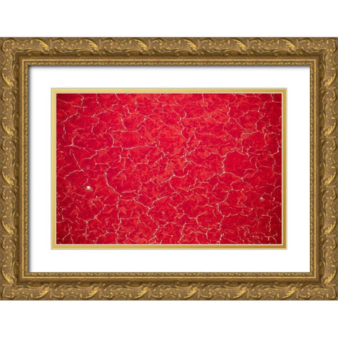 Africa-Tanzania-Aerial view of patterns of red algae and salt formations in shallow salt waters Gold Ornate Wood Framed Art Print with Double Matting by Souders, Paul