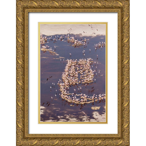 Africa-Tanzania-Aerial view of flock of Lesser Flamingos nesting among salt flats Gold Ornate Wood Framed Art Print with Double Matting by Souders, Paul