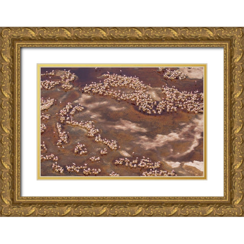 Africa-Tanzania-Aerial view of flock of Lesser Flamingos nesting among salt flats Gold Ornate Wood Framed Art Print with Double Matting by Souders, Paul