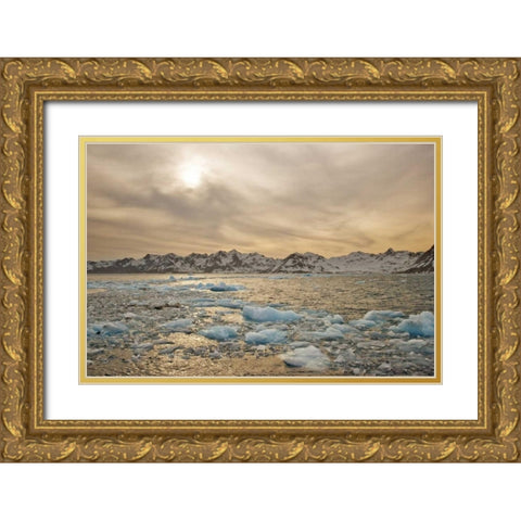 South Georgia Isl Sunset over water and sea ice Gold Ornate Wood Framed Art Print with Double Matting by Delisle, Gilles