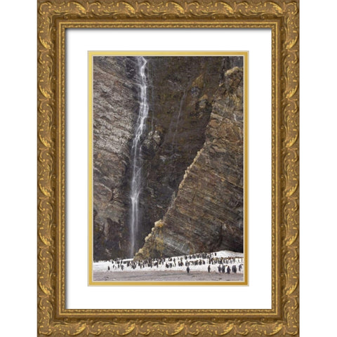 South Georgia Isl, Fortuna King penguin colony Gold Ornate Wood Framed Art Print with Double Matting by Paulson, Don