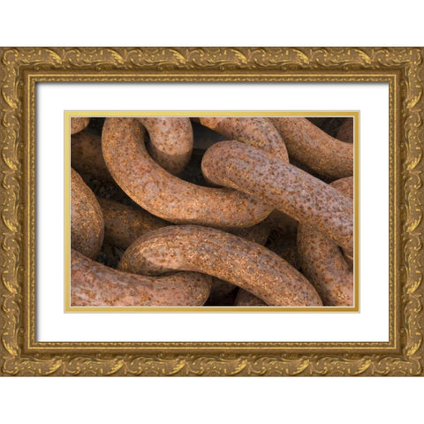 South Georgia Island, Grytviken Rusty chain Gold Ornate Wood Framed Art Print with Double Matting by Paulson, Don
