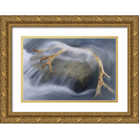 South Georgia Isl Reindeer antler in river rapid Gold Ornate Wood Framed Art Print with Double Matting by Paulson, Don