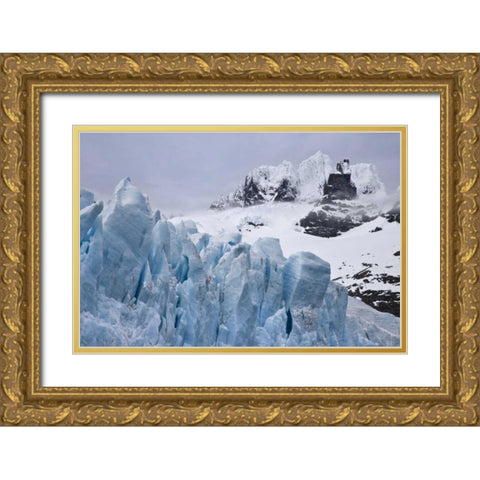 South Georgia Island Harmer Glacier and Starbuck Gold Ornate Wood Framed Art Print with Double Matting by Paulson, Don
