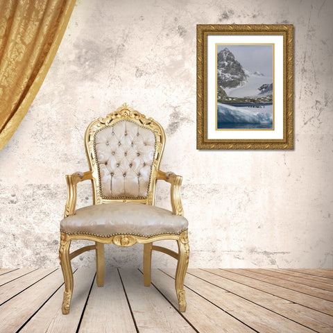 South Georgia Island Gentoo penguins on iceberg Gold Ornate Wood Framed Art Print with Double Matting by Paulson, Don