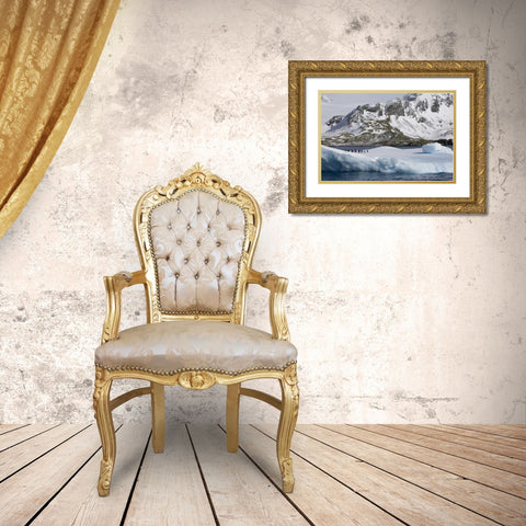 South Georgia Island Gentoo penguins on iceberg Gold Ornate Wood Framed Art Print with Double Matting by Paulson, Don
