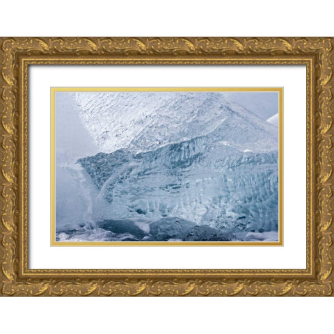 South Georgia Island, Wirik Bay Glacier ice Gold Ornate Wood Framed Art Print with Double Matting by Paulson, Don