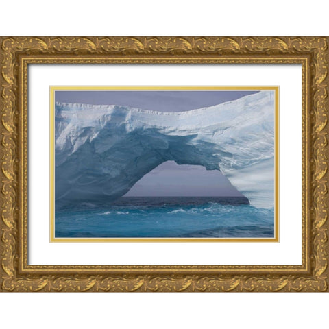 South Georgia Island, Iris Bay Iceberg bridge Gold Ornate Wood Framed Art Print with Double Matting by Paulson, Don