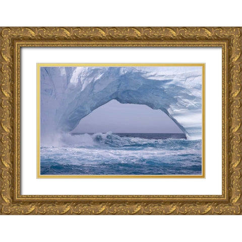 South Georgia Island Waves splash under iceberg Gold Ornate Wood Framed Art Print with Double Matting by Paulson, Don