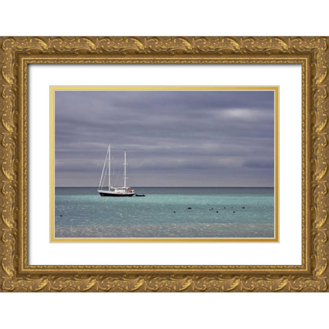 South Georgia Isl Sailing yacht anchored in bay Gold Ornate Wood Framed Art Print with Double Matting by Paulson, Don