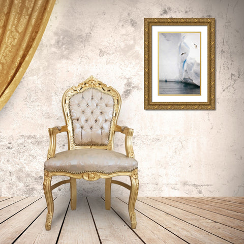 Antarctica Adelie penguin diving off an iceberg Gold Ornate Wood Framed Art Print with Double Matting by Grall, Don