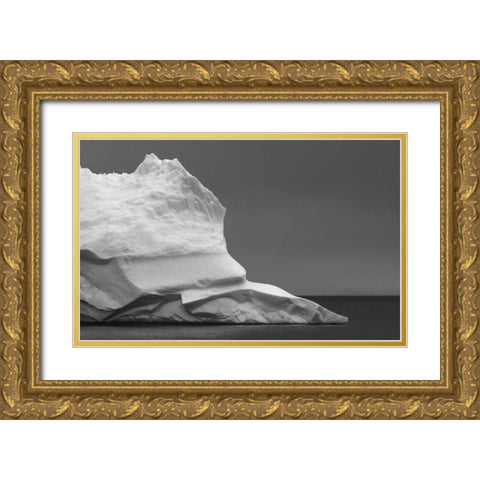 Antarctica Iceberg in Weddell Sea Gold Ornate Wood Framed Art Print with Double Matting by Young, Bill