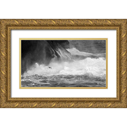 Antarctica Cormorant flying over frothing sea Gold Ornate Wood Framed Art Print with Double Matting by Young, Bill
