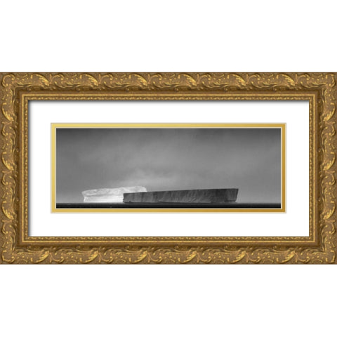 Antarctica, Tabular icebergs in sun and shadow Gold Ornate Wood Framed Art Print with Double Matting by Young, Bill