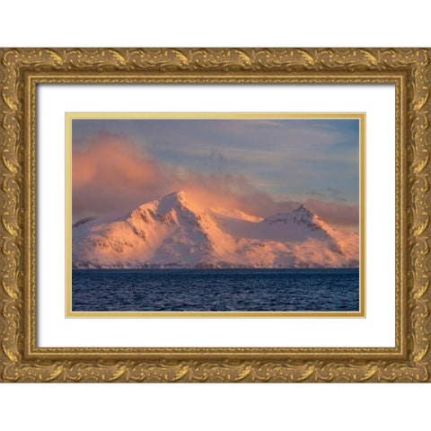 Antarctica-South Georgia Island-Bay of Isles Sunrise on mountain and ocean  Gold Ornate Wood Framed Art Print with Double Matting by Jaynes Gallery