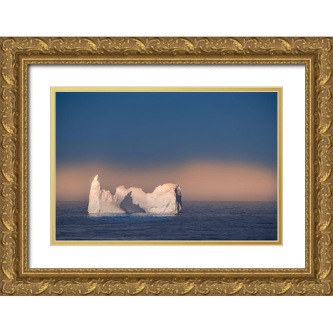 Antarctica-South Georgia Island Lone iceberg and sunset  Gold Ornate Wood Framed Art Print with Double Matting by Jaynes Gallery