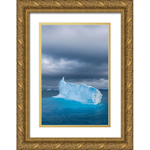 Antarctica-South Georgia Island Lone iceberg and stormy sunset  Gold Ornate Wood Framed Art Print with Double Matting by Jaynes Gallery