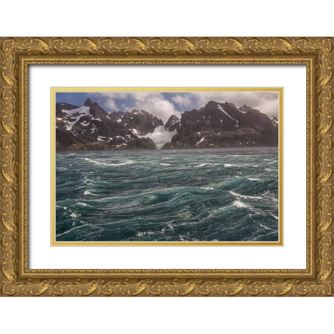 Southern Ocean-South Georgia-Drygalski Fjord Gold Ornate Wood Framed Art Print with Double Matting by Goff, Ellen B.