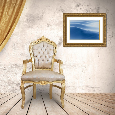 Southern Ocean-near South Georgia-Patterns created by the ship in the glassy water Gold Ornate Wood Framed Art Print with Double Matting by Goff, Ellen B.