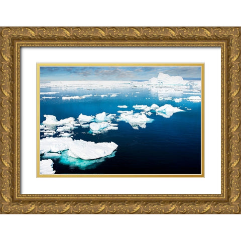 Antarctica-Lemaire Channel-floating ice Gold Ornate Wood Framed Art Print with Double Matting by Theodore, George and Marilu