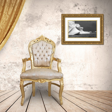 Floating blue iceberg Floating sea water Charlotte Bay-Antarctica  Gold Ornate Wood Framed Art Print with Double Matting by Perry, William