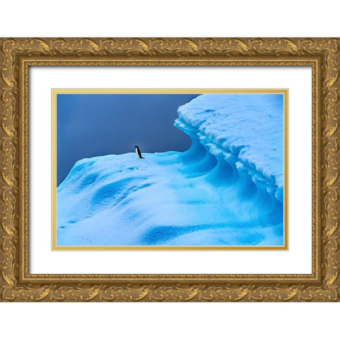 Adelie Penguin blue iceberg Charlotte Bay-Antarctica  Gold Ornate Wood Framed Art Print with Double Matting by Perry, William