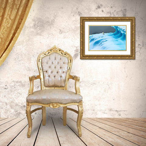 Adelie Penguin blue iceberg Charlotte Bay-Antarctica  Gold Ornate Wood Framed Art Print with Double Matting by Perry, William
