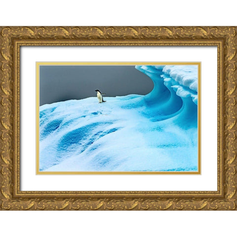 Adelie Penguin blue iceberg Charlotte Bay-Antarctica  Gold Ornate Wood Framed Art Print with Double Matting by Perry, William