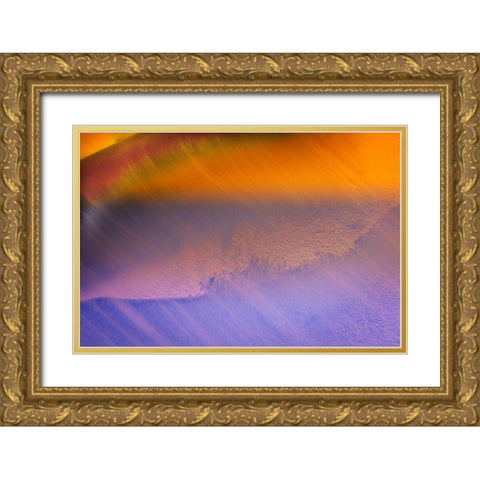Colorful orange blue iceberg closeup abstract background Charlotte Bay-Antarctica  Gold Ornate Wood Framed Art Print with Double Matting by Perry, William