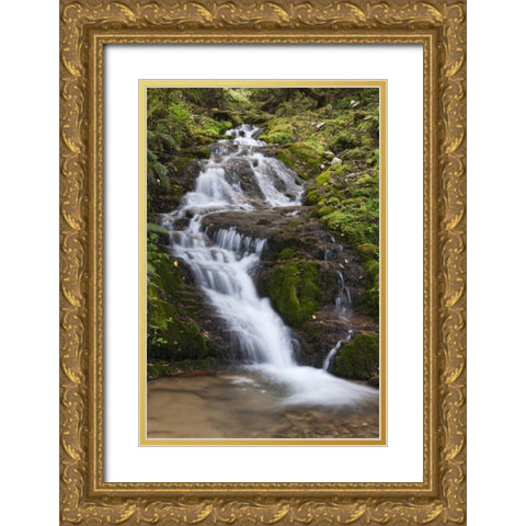 Asia, Bhutan Waterfall in central Bhutan Gold Ornate Wood Framed Art Print with Double Matting by Kirkland, Dennis