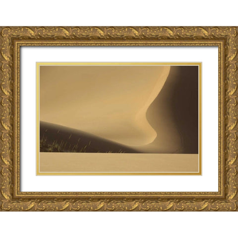 China, Badain Jaran Abstract of desert shapes Gold Ornate Wood Framed Art Print with Double Matting by Anon, Ellen