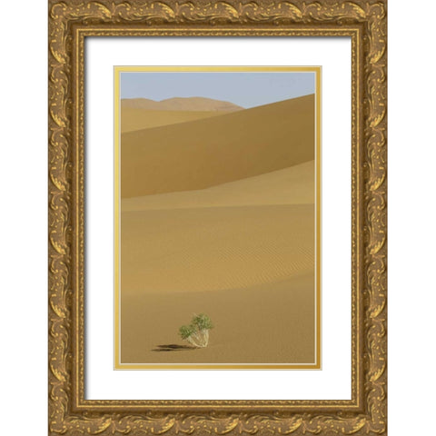 China, Gansu Province Badain Jaran Desert Gold Ornate Wood Framed Art Print with Double Matting by Anon, Josh