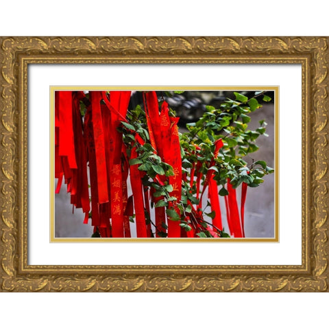 Asia-China-Zhujiajiao (Venice of the East)-Red Ribbons of Wish to a Higher Power Gold Ornate Wood Framed Art Print with Double Matting by Looney, Hollice