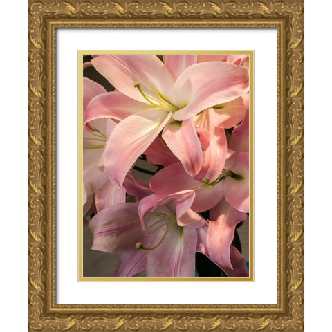 China-Hong Kong Lilies on display at a shop near the flower market Gold Ornate Wood Framed Art Print with Double Matting by Eggers, Julie