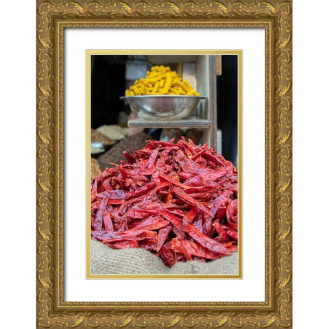 India-Delhi-Old Delhi Old Delhi street market Gold Ornate Wood Framed Art Print with Double Matting by Hopkins, Cindy Miller
