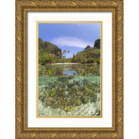 Indonesia, Misool Island Split view of an island Gold Ornate Wood Framed Art Print with Double Matting by Shimlock, Jones