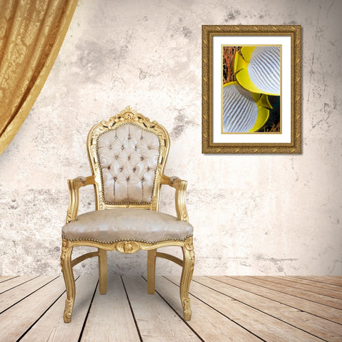 Indonesia The back halves of two butterflyfish Gold Ornate Wood Framed Art Print with Double Matting by Shimlock, Jones