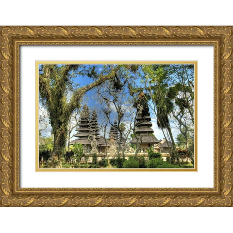 Indonesia, Bali, Mengwi Pura Taman Ayun temple Gold Ornate Wood Framed Art Print with Double Matting by Shimlock, Jones