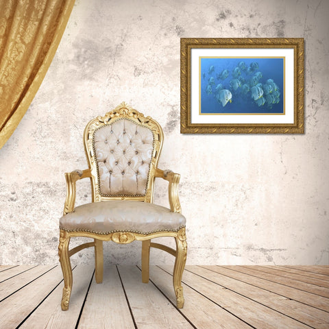 Indonesia, Papua, Raja Ampat Schooling batfish Gold Ornate Wood Framed Art Print with Double Matting by Shimlock, Jones