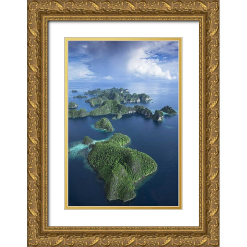 Indonesia, West Papua Aerial of Raja Ampat Gold Ornate Wood Framed Art Print with Double Matting by Shimlock, Jones