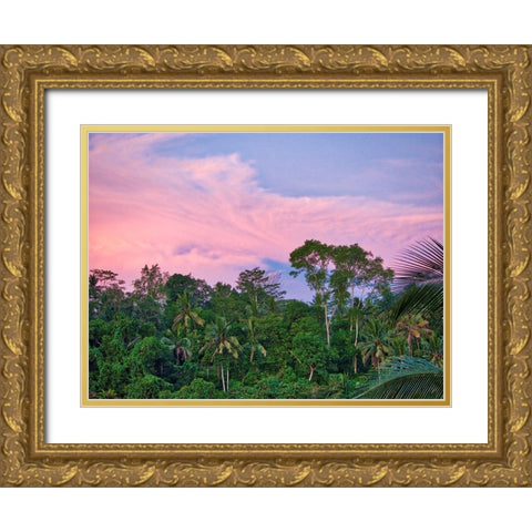 Indonesia-Bali-Ubud-Sunrise in the rainforest Gold Ornate Wood Framed Art Print with Double Matting by Eggers, Terry