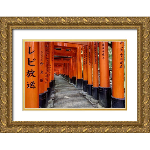 Japan, Kyoto, Fushimi-Inari-Taisha Torii Gates Gold Ornate Wood Framed Art Print with Double Matting by Flaherty, Dennis