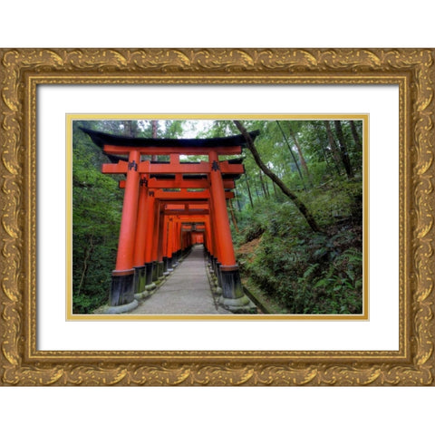 Japan, Kyoto, Fushimi-Inari-Taisha Torii Gates Gold Ornate Wood Framed Art Print with Double Matting by Flaherty, Dennis