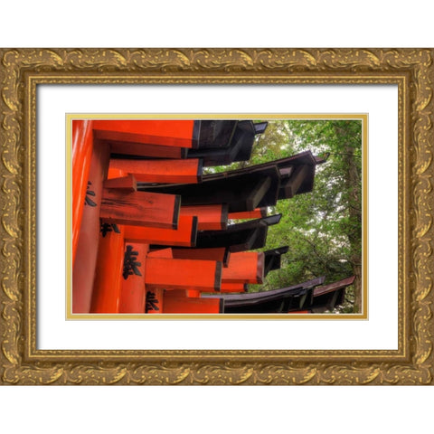 Japan, Kyoto, Fushimi-Inari-Taisha Torii Gates Gold Ornate Wood Framed Art Print with Double Matting by Flaherty, Dennis